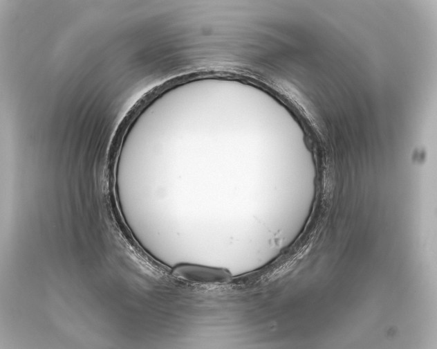 X0000093360924200711011204