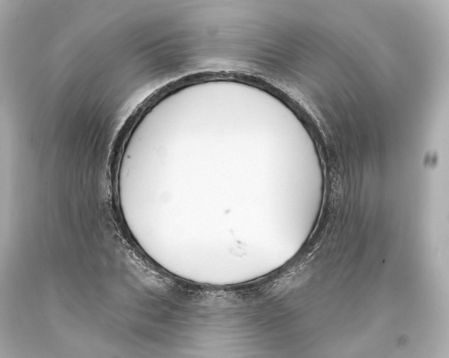 X0000093360927200711011204