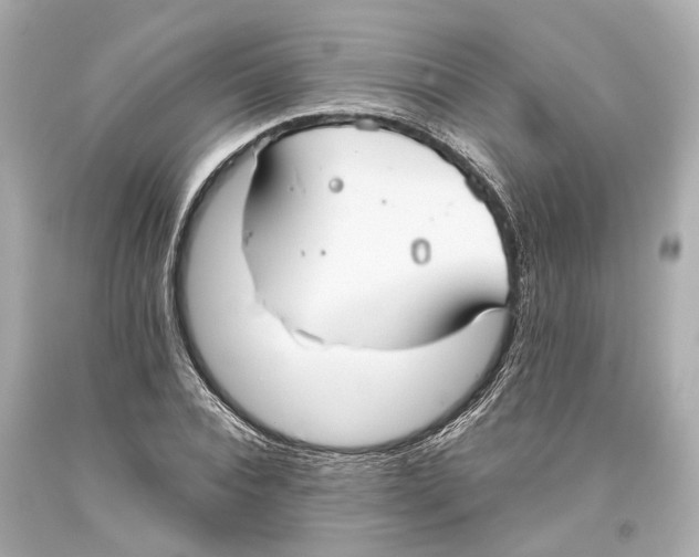 X0000093360928200711011204