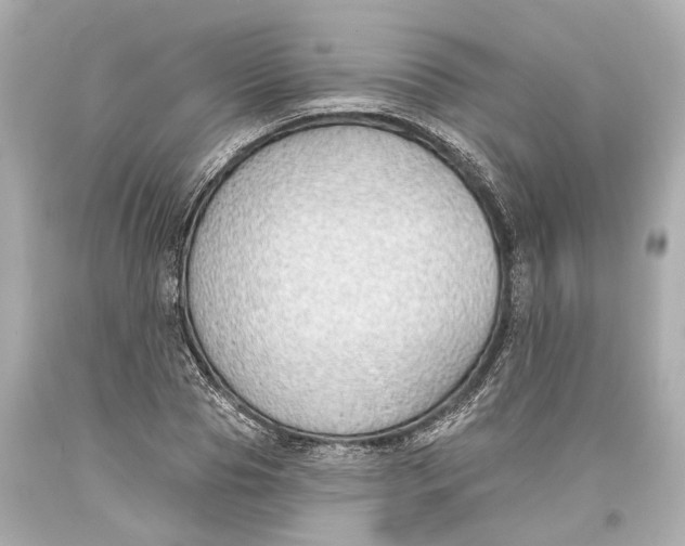 X0000093360929200711011204