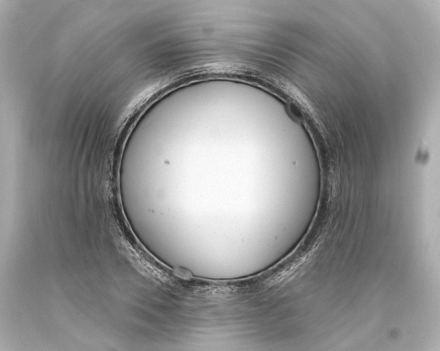 X0000093360930200711011204