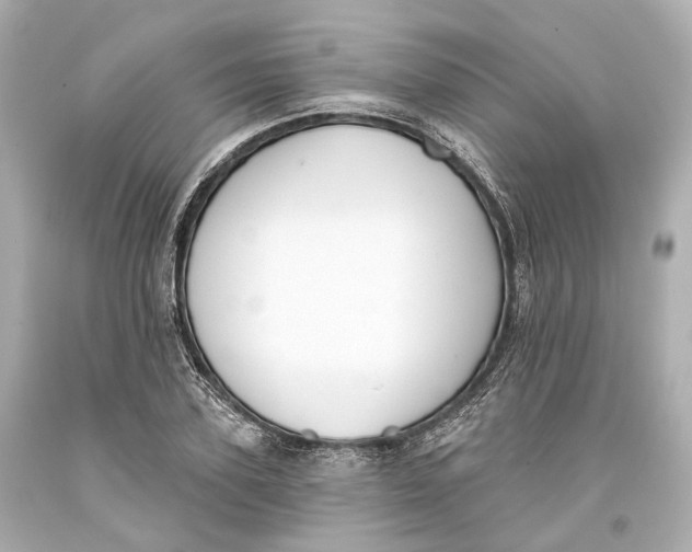 X0000093360931200711011204