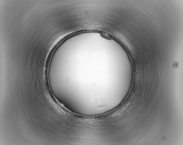 X0000093360932200711011204