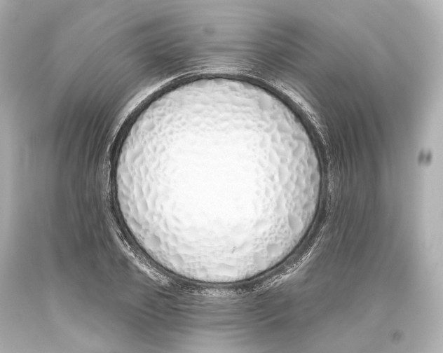 X0000093360933200711011204