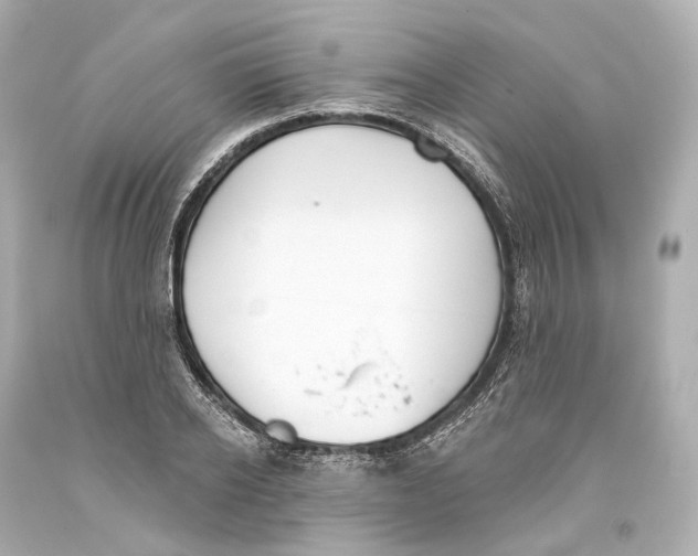 X0000093360934200711011204