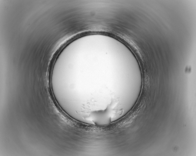 X0000093360935200711011204