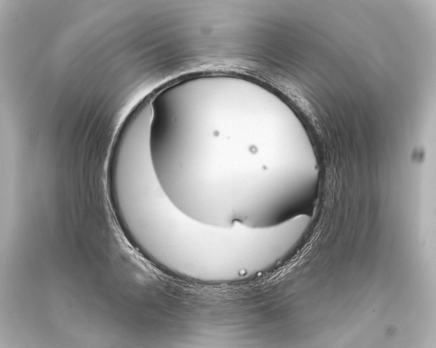 X0000093360936200711011204