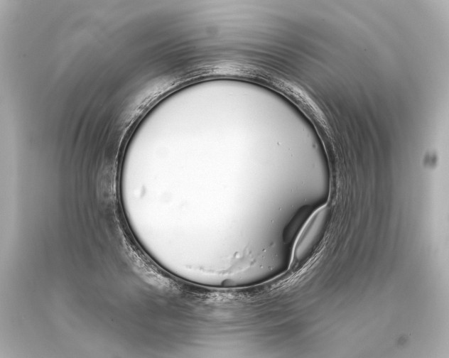 X0000093360938200711011205