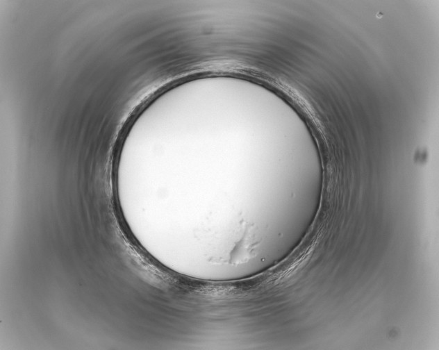 X0000093360939200711011205