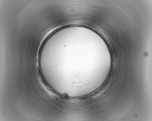 X0000093360940200711011205