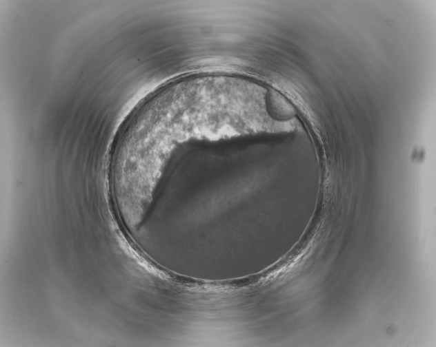 X0000093360941200711011205