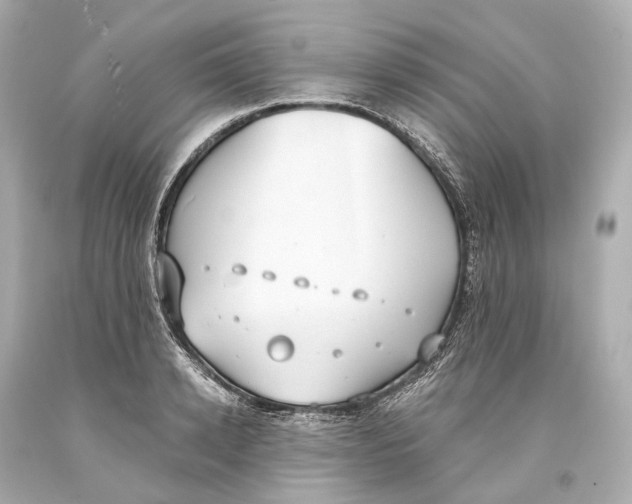 X0000093360942200711011205