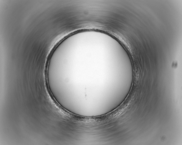 X0000093360943200711011205