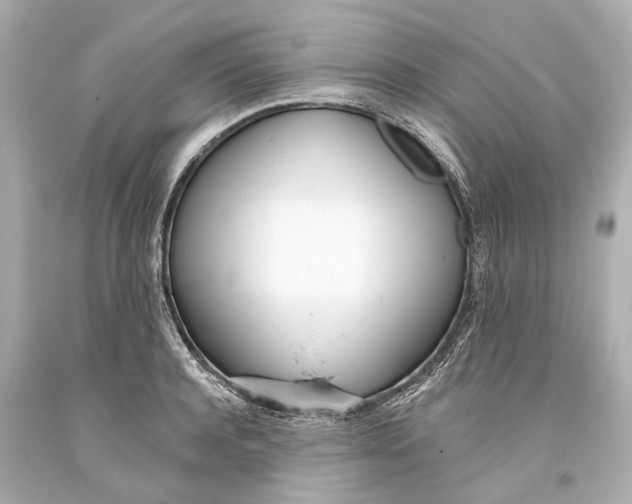 X0000093360944200711011205