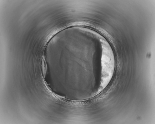 X0000093360945200711011205