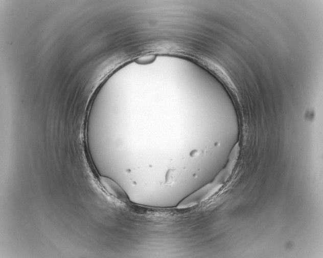 X0000093360946200711011205