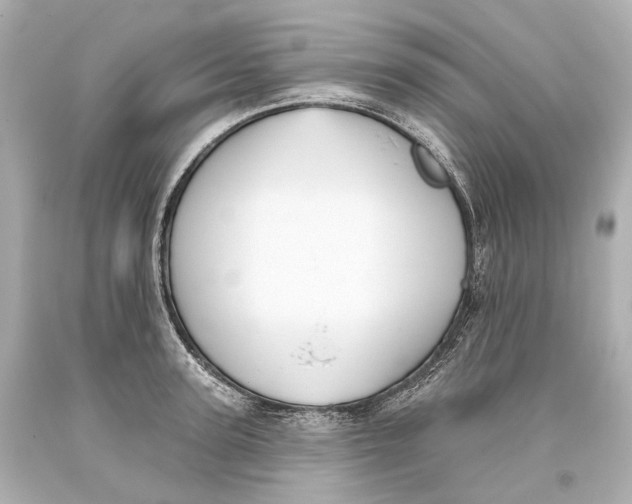 X0000093360947200711011205