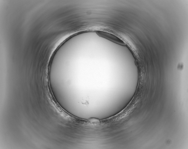 X0000093360948200711011205