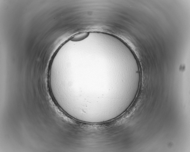 X0000093360949200711011205