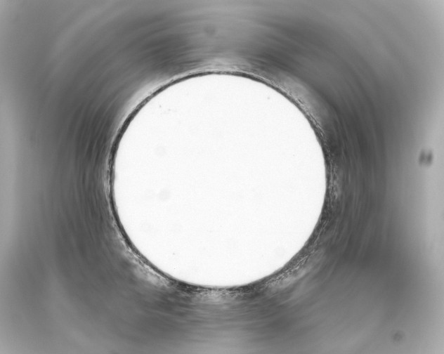 X0000093360950200711011205