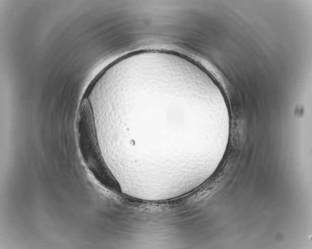 X0000093360951200711011205