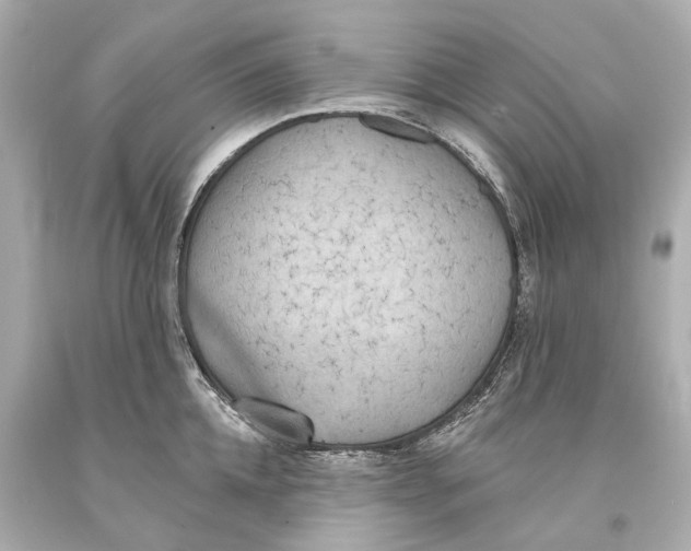 X0000093360952200711011205