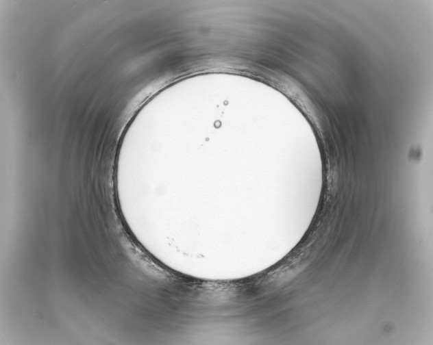 X0000093360954200711011205