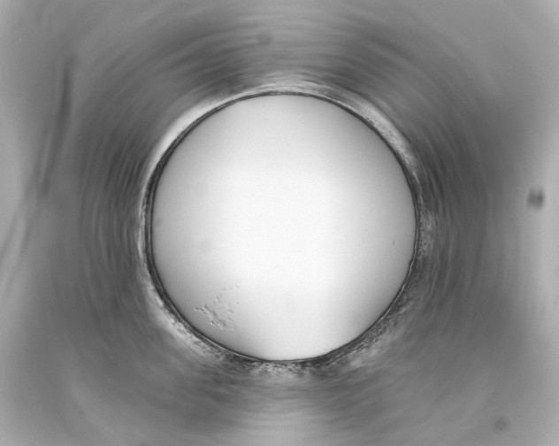 X0000093360955200711011205