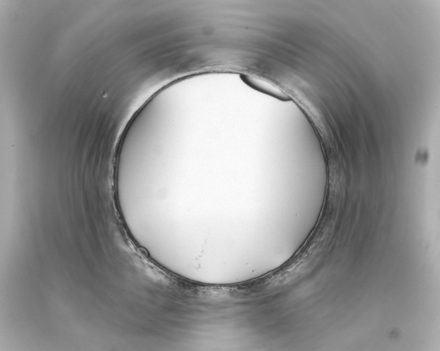 X0000093360956200711011205