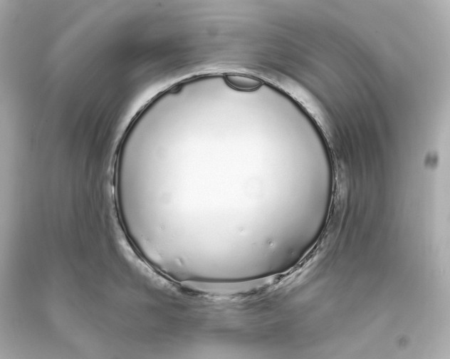 X0000093360958200711011205