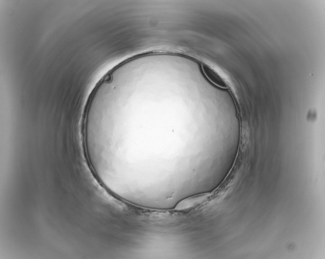 X0000093360959200711011205