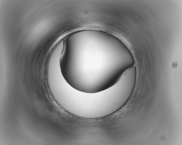 X0000093360960200711011205