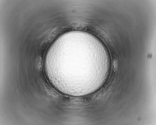 X0000093360963200711011204