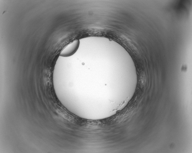 X0000093360964200711011204