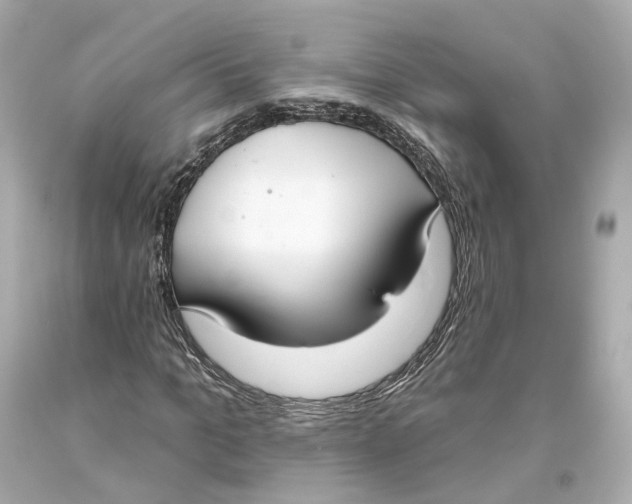 X0000093360965200711011204