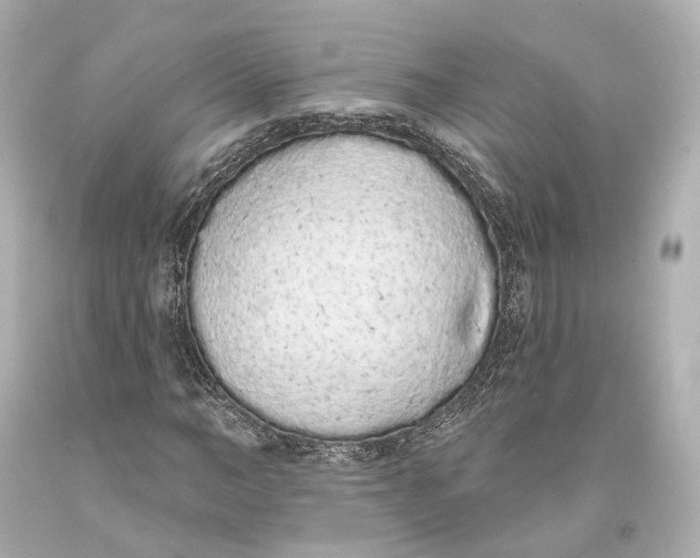 X0000093360966200711011204