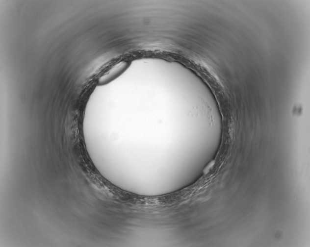 X0000093360968200711011204