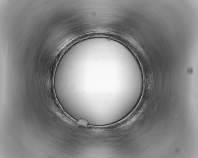 X0000093360969200711011204