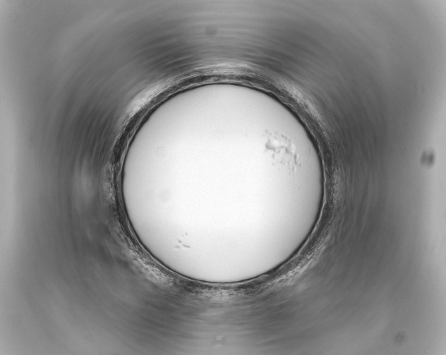 X0000093360970200711011204