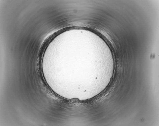 X0000093360971200711011204