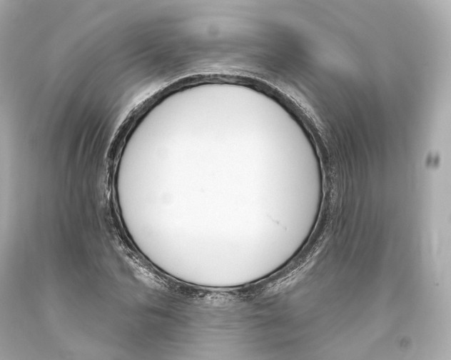 X0000093360974200711011204