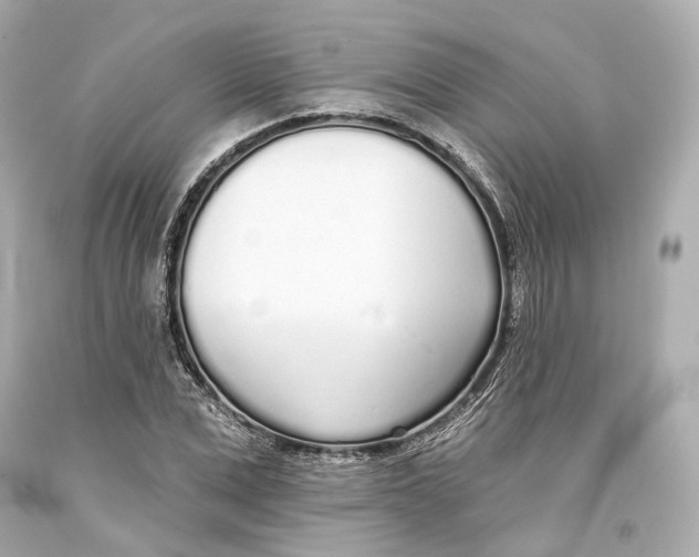 X0000093360975200711011204