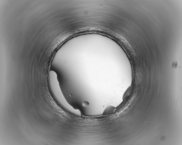 X0000093360977200711011204