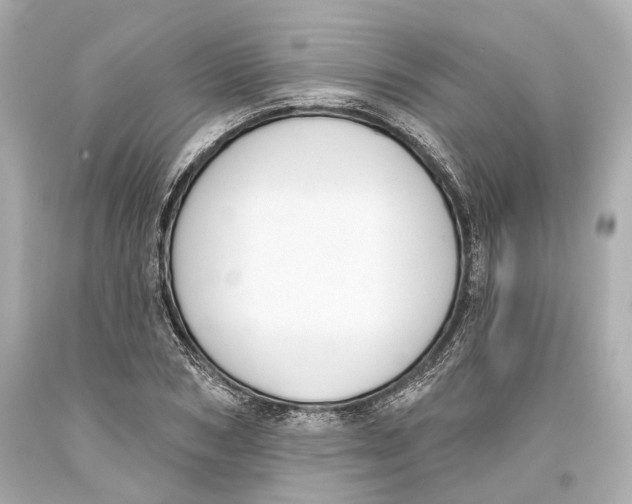 X0000093360978200711011204