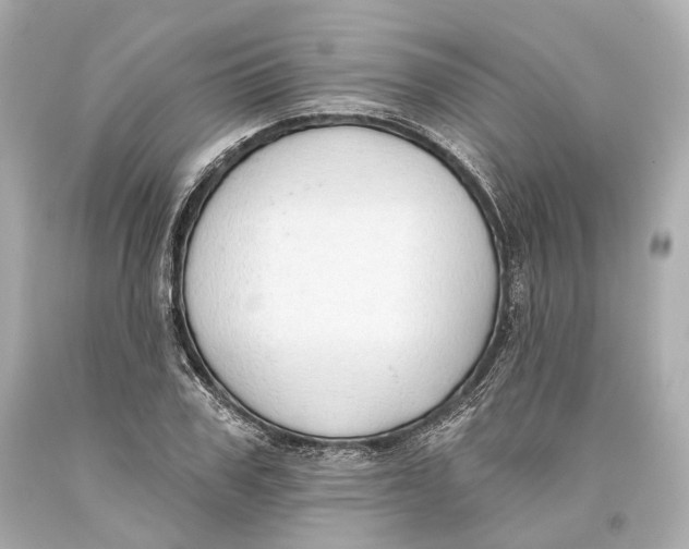 X0000093360979200711011204