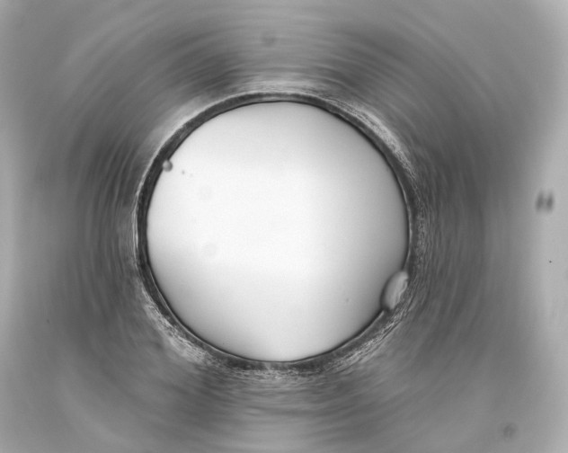 X0000093360980200711011204