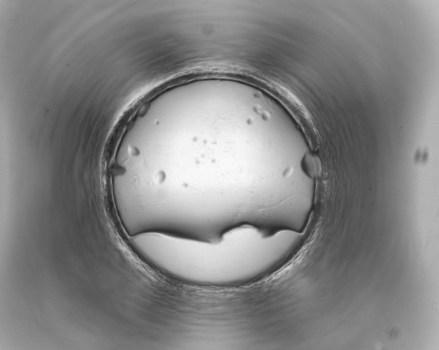 X0000093360981200711011204