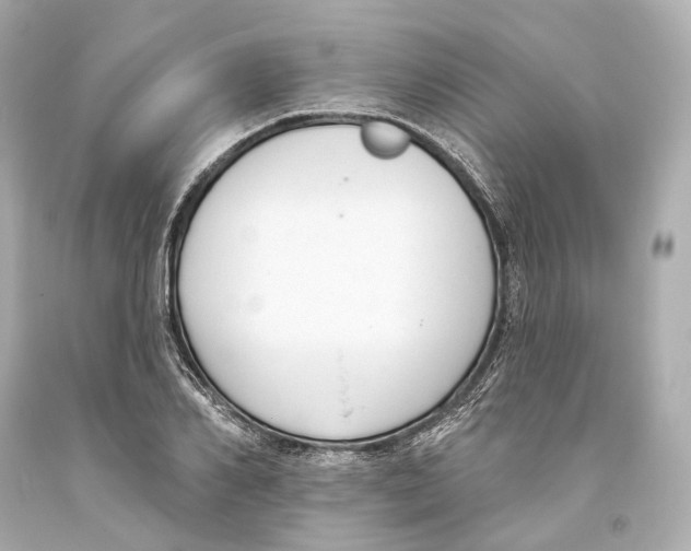 X0000093360982200711011204