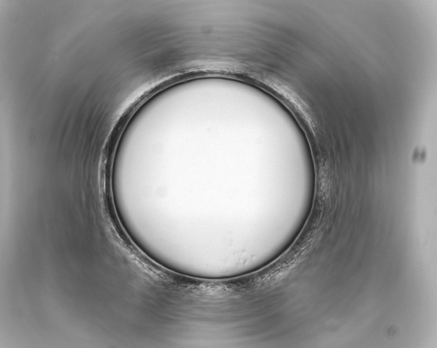 X0000093360983200711011204