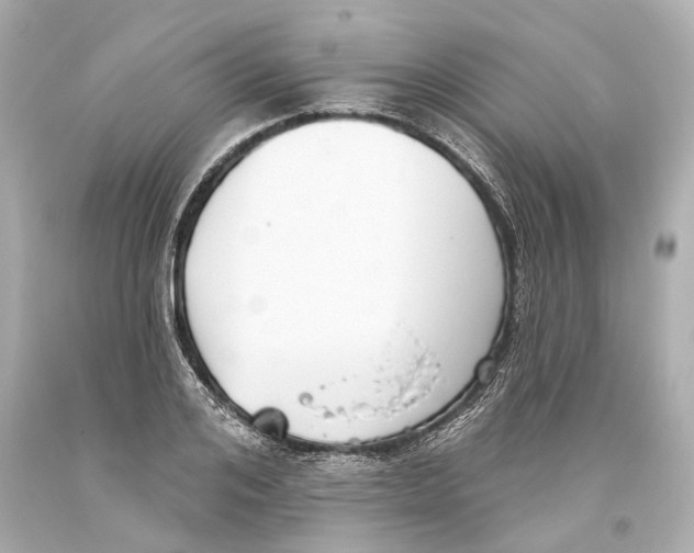 X0000093360984200711011204